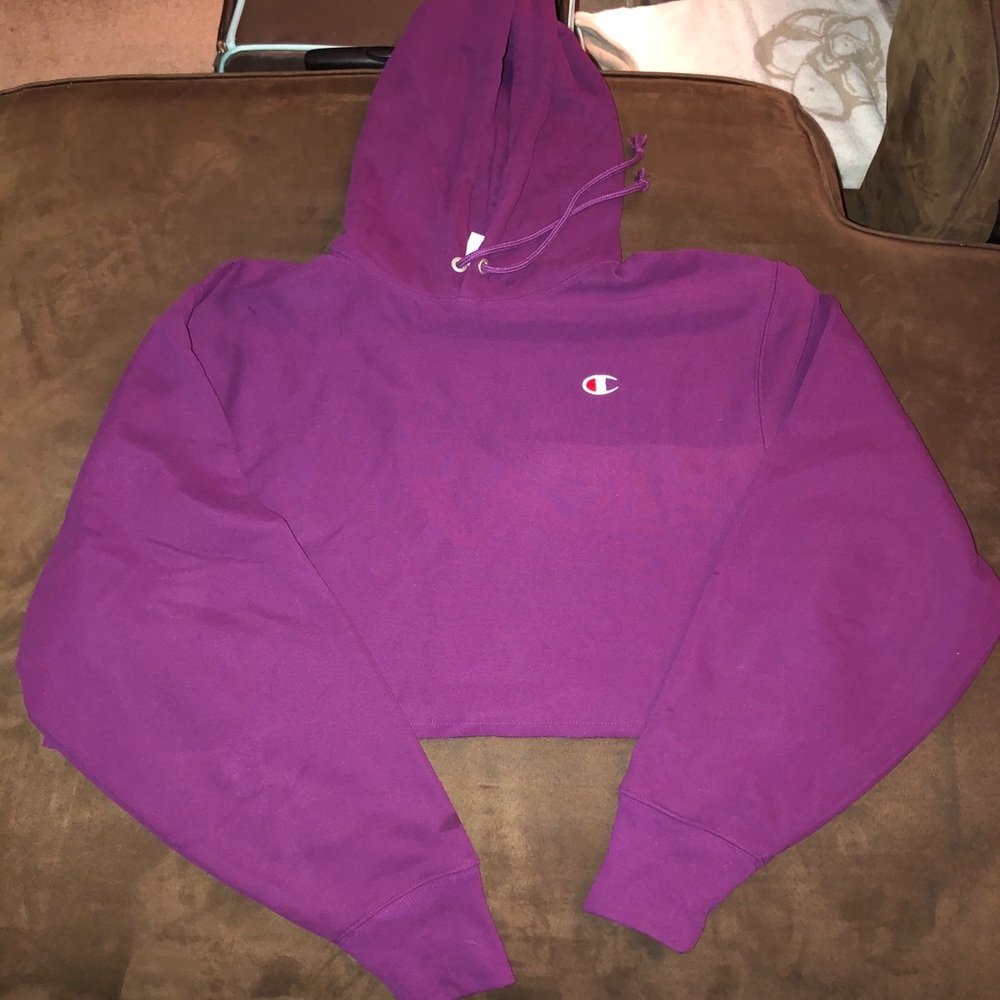 NWOT Champion cropped reverse weave hoodie